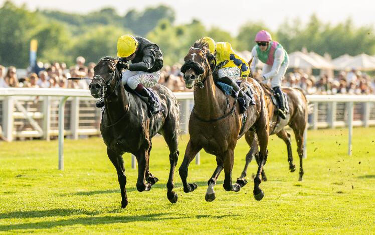 2025 fixture list announced at Royal Windsor Racecourse