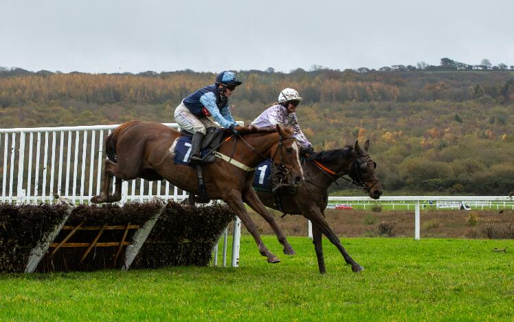 Image of jumps racing