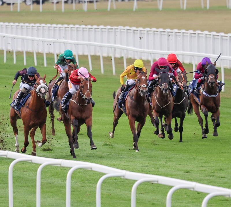 Feature Races Racing Highlights Royal Windsor Racecourse